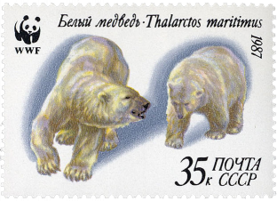 Медведи на охоте