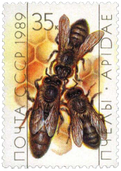 Матка и рабочие пчелы