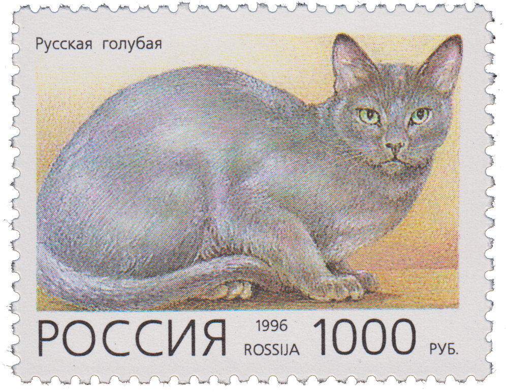 Марки 1996 года россия. Кошки на почтовых марках. Марки с кошками. Марки с котятами. Марка Почтовая с котиком.
