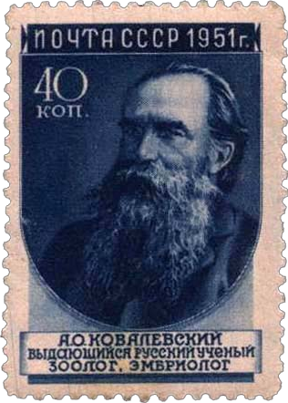 А.О. Ковалевский