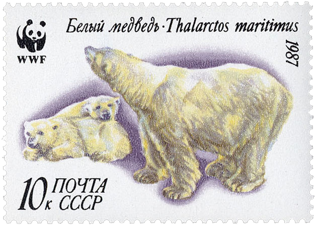 Медведица с медвежатами