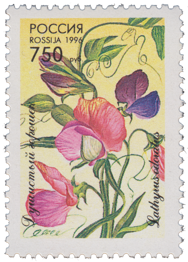 Марки 1996 года россия. Марки с цветами. Марки с растениями. Почтовые марки с цветами. Марки с изображением цветов.