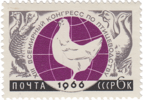 XIII Всемирный конгресс по птицеводству