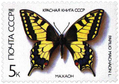 Махаон Махаон