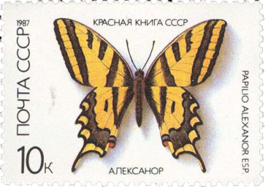 Алексанор Алексанор