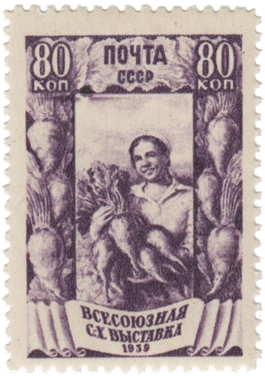 Свекловодство Свекловодство
